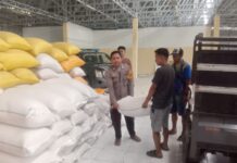Bhabinkamtibmas Polsek Sarudu Dampingi Petani Jual Hasil Panen Jagung ke Bulog