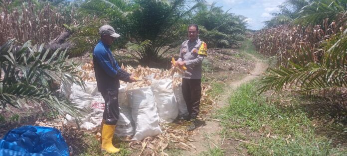 WhatsApp Image 2026-03-09 at 13.06.19