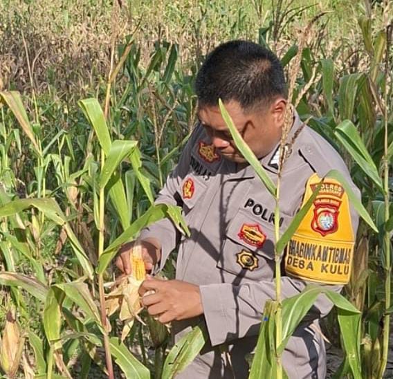 WhatsApp Image 2026-03-14 at 08.35.22