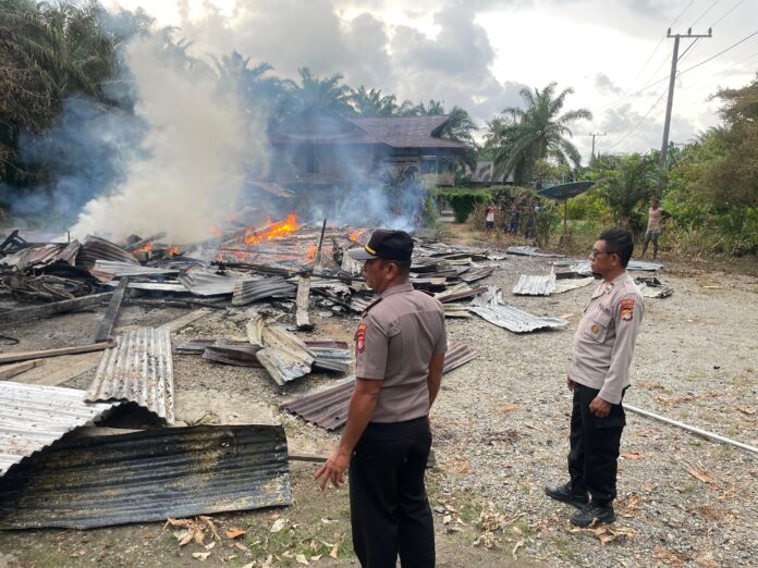 WhatsApp Image 2026-03-31 at 17.42.19