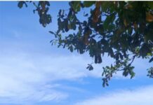 Sat Polairud Polres Pasangkayu Intensifkan Patroli Sambang, Ajak Masyarakat Pesisir Jaga Kamtibmas dan Kebersihan Laut