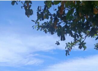 Sat Polairud Polres Pasangkayu Intensifkan Patroli Sambang, Ajak Masyarakat Pesisir Jaga Kamtibmas dan Kebersihan Laut