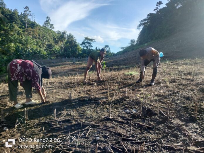 WhatsApp Image 2026-04-04 at 23.53.19