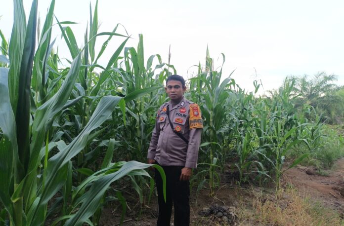 WhatsApp Image 2026-04-07 at 00.08.45