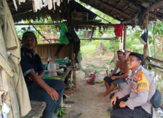 Dari Lahan Kosong Jadi Produktif, Polisi Dukung Warga Budidaya Jagung di Desa Binaan