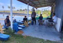 Bhabinkamtibmas Mediasi Perselisihan Tambak Udang di Karya Bersama, Konflik Berhasil Diredam