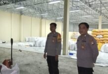 Dukung Ketahanan Pangan, Bhabinkamtibmas Bambalamotu Antar 5 Ton Jagung Petani ke Bulog