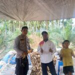 Panen Jagung di Bambaira, Polisi Dorong Petani Perkuat Ketahanan Pangan