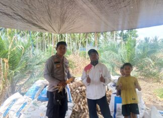 Panen Jagung di Bambaira, Polisi Dorong Petani Perkuat Ketahanan Pangan
