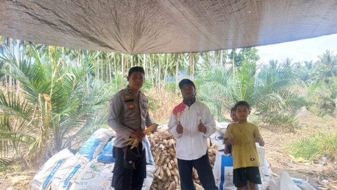 WhatsApp Image 2026-04-07 at 23.15.40