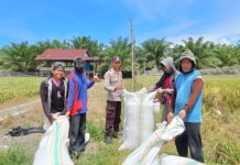 Bhabinkamtibmas Polsek Sarudu Laksanakan Sambang dan Himbauan Kamtibmas di Desa Patika