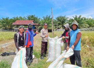 Bhabinkamtibmas Polsek Sarudu Laksanakan Sambang dan Himbauan Kamtibmas di Desa Patika