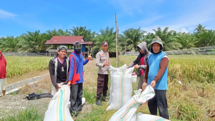 WhatsApp Image 2026-04-08 at 01.06.20