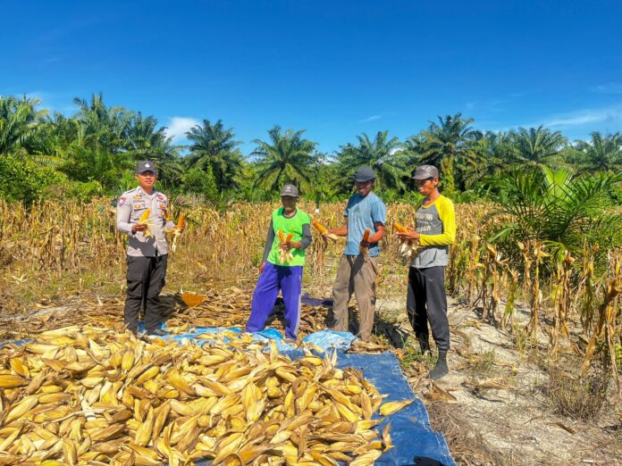 WhatsApp Image 2026-04-09 at 13.19.40