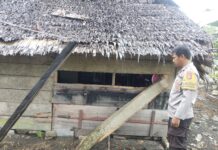 Bengkel Kosong Dibobol Pencuri, Polsek Sarudu Gerak Cepat Olah TKP di Dapurang