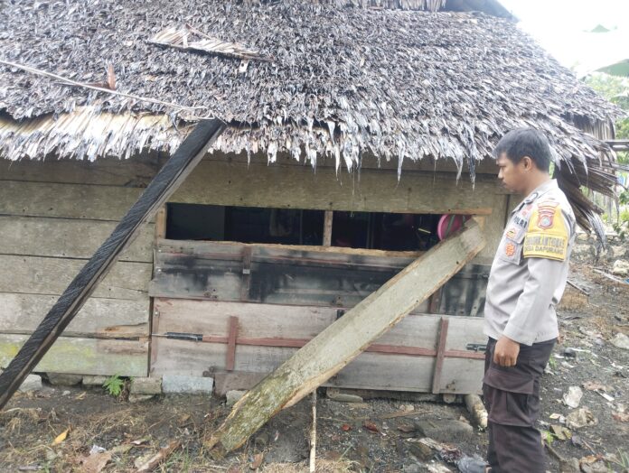 WhatsApp Image 2026-04-13 at 06.23.50