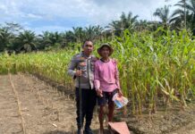 Bhabinkamtibmas Polsek Pasangkayu Terus Pantau Perkembangan Lahan Jagung Warga Binaan