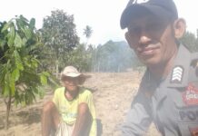 Bhabinkamtibmas Turun Langsung, Dukung Ketahanan Pangan Lewat Pengecekan Lahan Jagung Warga di Desa Ako