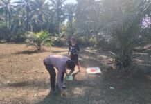 Bhabinkamtibmas Polsek Sarudu Ajak Warga Manfaatkan Lahan Kosong, Tanam Jagung Demi Ketahanan Pangan