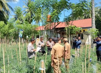 Polsek Bambalamotu Tunjukkan Komitmen Ketahanan Pangan, Lomba P2L dan P2B Berlangsung Meriah