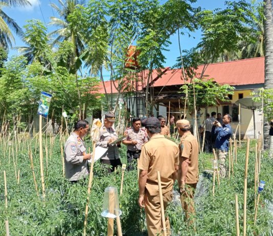 Polsek Bambalamotu Tunjukkan Komitmen Ketahanan Pangan, Lomba P2L dan P2B Berlangsung Meriah