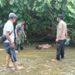 Polsek Sarudu Gerak Cepat Datangi TKP Penemuan Pria Meninggal di Sungai Kuma