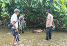 Polsek Sarudu Gerak Cepat Datangi TKP Penemuan Pria Meninggal di Sungai Kuma