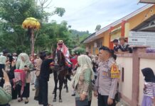 Meriah dan Aman, Bhabinkamtibmas Kawal Iring-Iringan Kuda Sayyang Pattuddu’ di Bambalamotu