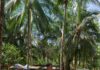 Bhabinkamtibmas Pantau Objek Wisata Batu Alam Kalukunangka, Pastikan Keamanan dan Kenyamanan Pengunjung