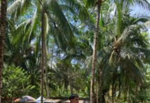 Bhabinkamtibmas Pantau Objek Wisata Batu Alam Kalukunangka, Pastikan Keamanan dan Kenyamanan Pengunjung