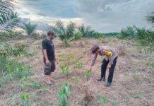 Bhabinkamtibmas Polsek Baras Sambangi Petani Jagung, Wujud Dukungan Polri terhadap Ketahanan Pangan di Desa Motu