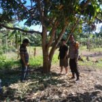Respon Kilat Polisi! Kasus Kehilangan Ternak di Pasangkayu Langsung Ditindaklanjuti