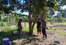 Respon Kilat Polisi! Kasus Kehilangan Ternak di Pasangkayu Langsung Ditindaklanjuti