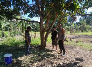 Respon Kilat Polisi! Kasus Kehilangan Ternak di Pasangkayu Langsung Ditindaklanjuti
