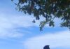 Sat Polairud Polres Pasangkayu Intensifkan Patroli Sambang, Edukasi Masyarakat Pesisir Pantai Tanjung Babia