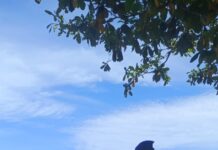Sat Polairud Polres Pasangkayu Intensifkan Patroli Sambang, Edukasi Masyarakat Pesisir Pantai Tanjung Babia