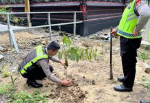 Satlantas Polres Pasangkayu Gelar Penanaman Pohon Bersama Masyarakat, Wujud Kepedulian Lingkungan di Hari Bhayangkara ke-80