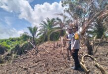 Kapolsek Sarudu Cek Kesiapan Lahan Jagung di Desa Doda, Dukung Program Ketahanan Pangan Nasional