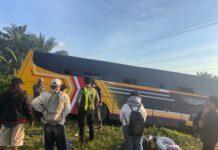 Diduga Akibat Baut Roda Terlepas, Bus Masuk Jurang di Tikke Raya, Satlantas Polres Pasangkayu Lakukan Penanganan