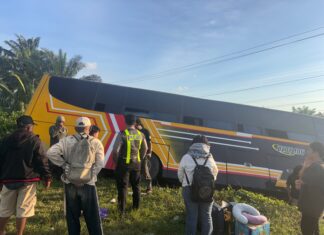 Diduga Akibat Baut Roda Terlepas, Bus Masuk Jurang di Tikke Raya, Satlantas Polres Pasangkayu Lakukan Penanganan