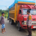 Pelajar Tewas dalam Kecelakaan Truk dan Sepeda Motor di Dapurang, Bhabinkamtibmas Polsek Sarudu Sigap Datangi TKP