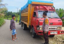 Pelajar Tewas dalam Kecelakaan Truk dan Sepeda Motor di Dapurang, Bhabinkamtibmas Polsek Sarudu Sigap Datangi TKP
