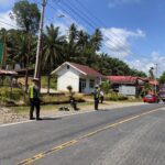 Bus Raja Trans dan Motor CRF Terlibat Kecelakaan di Jalur Trans Sulawesi Pasangkayu, Dua Remaja Alami Luka-Luka