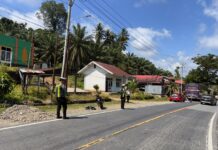 Bus Raja Trans dan Motor CRF Terlibat Kecelakaan di Jalur Trans Sulawesi Pasangkayu, Dua Remaja Alami Luka-Luka