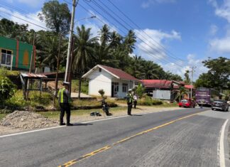 Bus Raja Trans dan Motor CRF Terlibat Kecelakaan di Jalur Trans Sulawesi Pasangkayu, Dua Remaja Alami Luka-Luka
