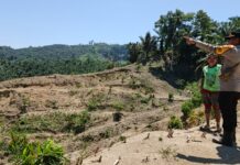 Kapolsek Sarudu Tinjau Langsung Lahan Jagung Warga, Pastikan Kesiapan Tanam Hadapi Musim Hujan
