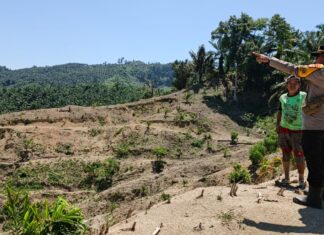 Kapolsek Sarudu Tinjau Langsung Lahan Jagung Warga, Pastikan Kesiapan Tanam Hadapi Musim Hujan