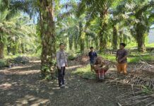 Bhabinkamtibmas Polsek Sarjo Edukasi Warga Antisipasi Karhutla, Ajak Bersama Jaga Kamtibmas