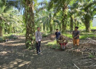 Bhabinkamtibmas Polsek Sarjo Edukasi Warga Antisipasi Karhutla, Ajak Bersama Jaga Kamtibmas