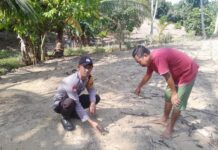 Dukung Ketahanan Pangan, Bhabinkamtibmas Polsek Pasangkayu Pantau Perkembangan Tanaman Jagung Warga